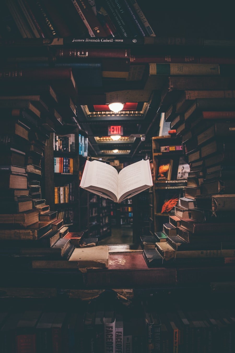 Academic English Support